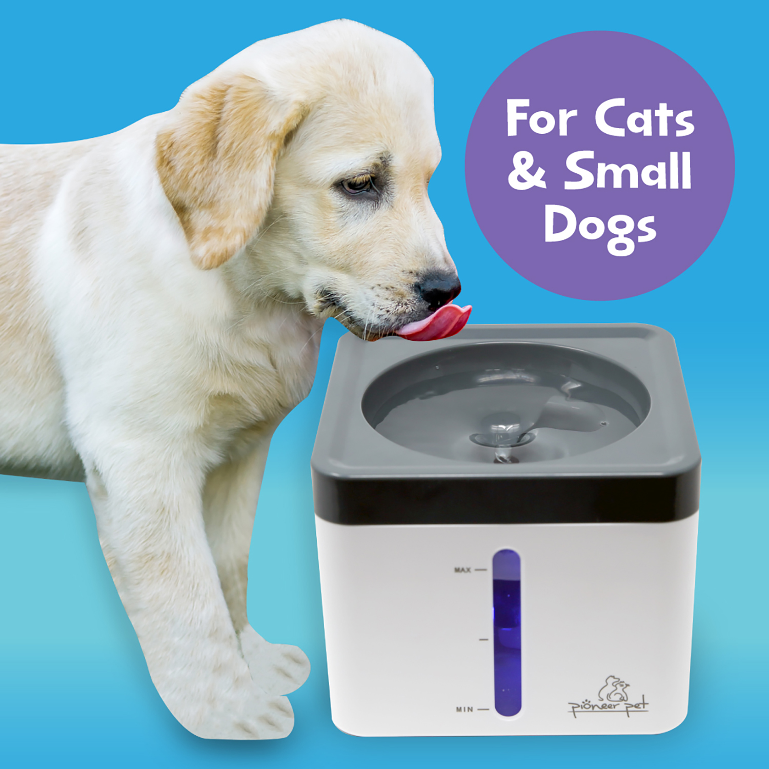 An application scenario or product detail of small dog water fountain - Image 13