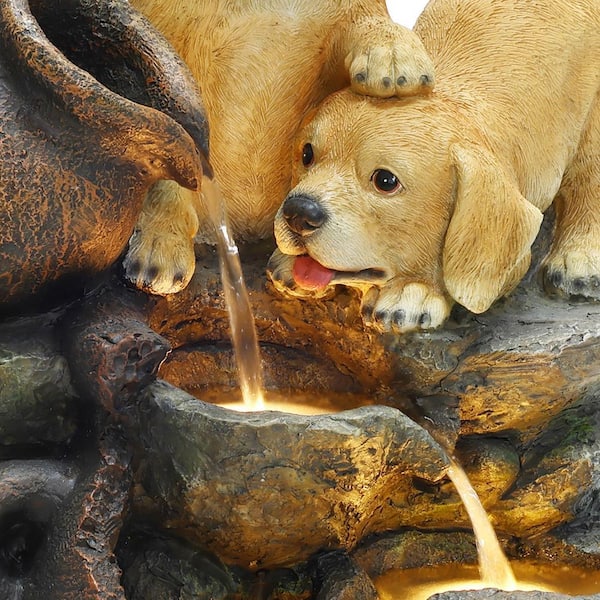 An application scenario or product detail of small dog water fountain - Image 23