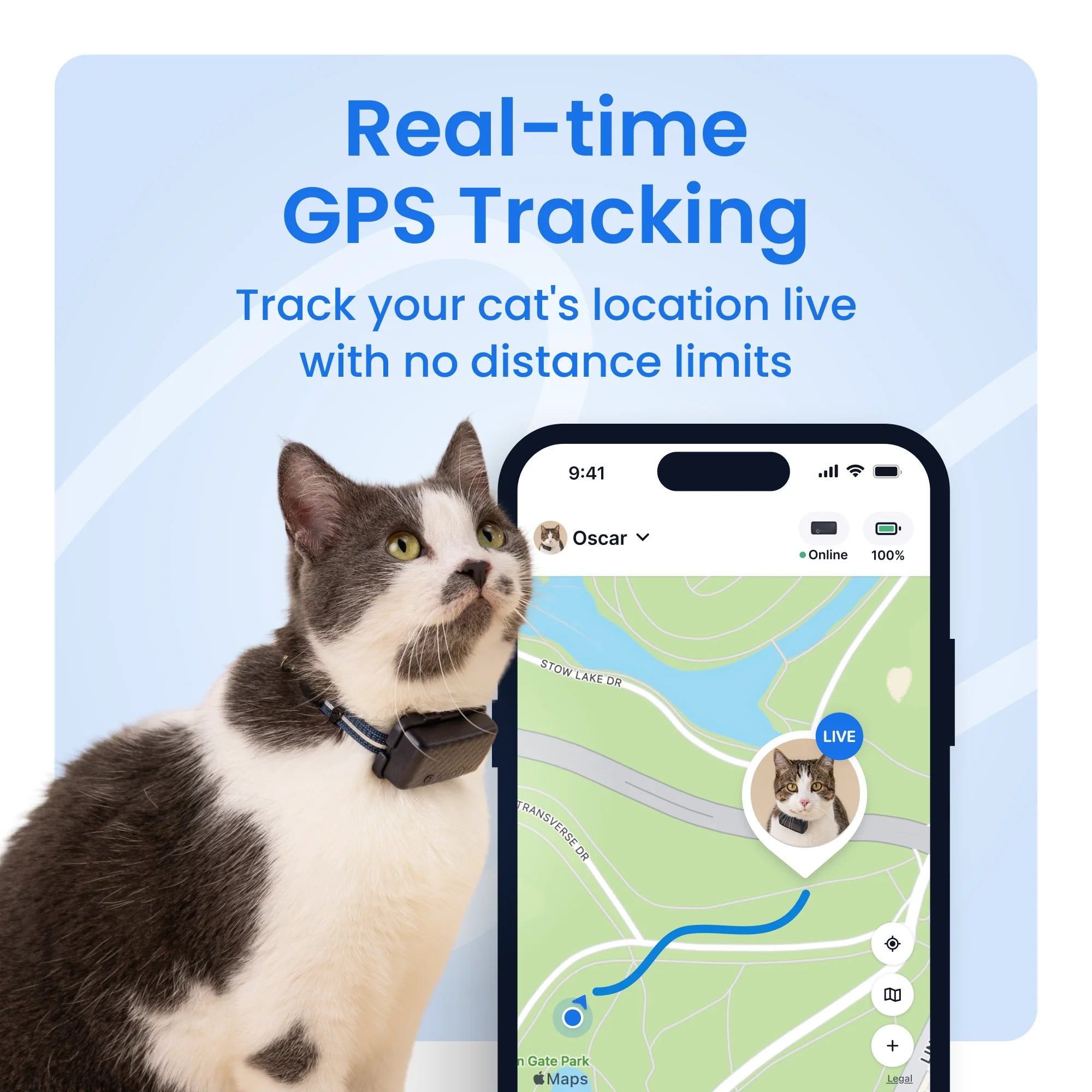 An application scenario or product detail of small gps tracker for cat - Image 7