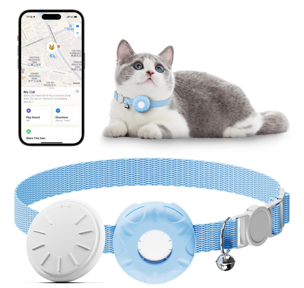 Featured image for the small gps tracker for cat guide