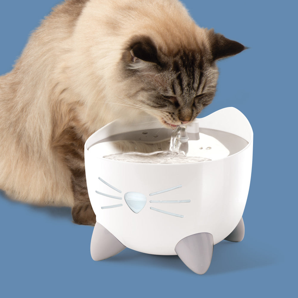 An application scenario or product detail of smart cat drinking fountain - Image 18