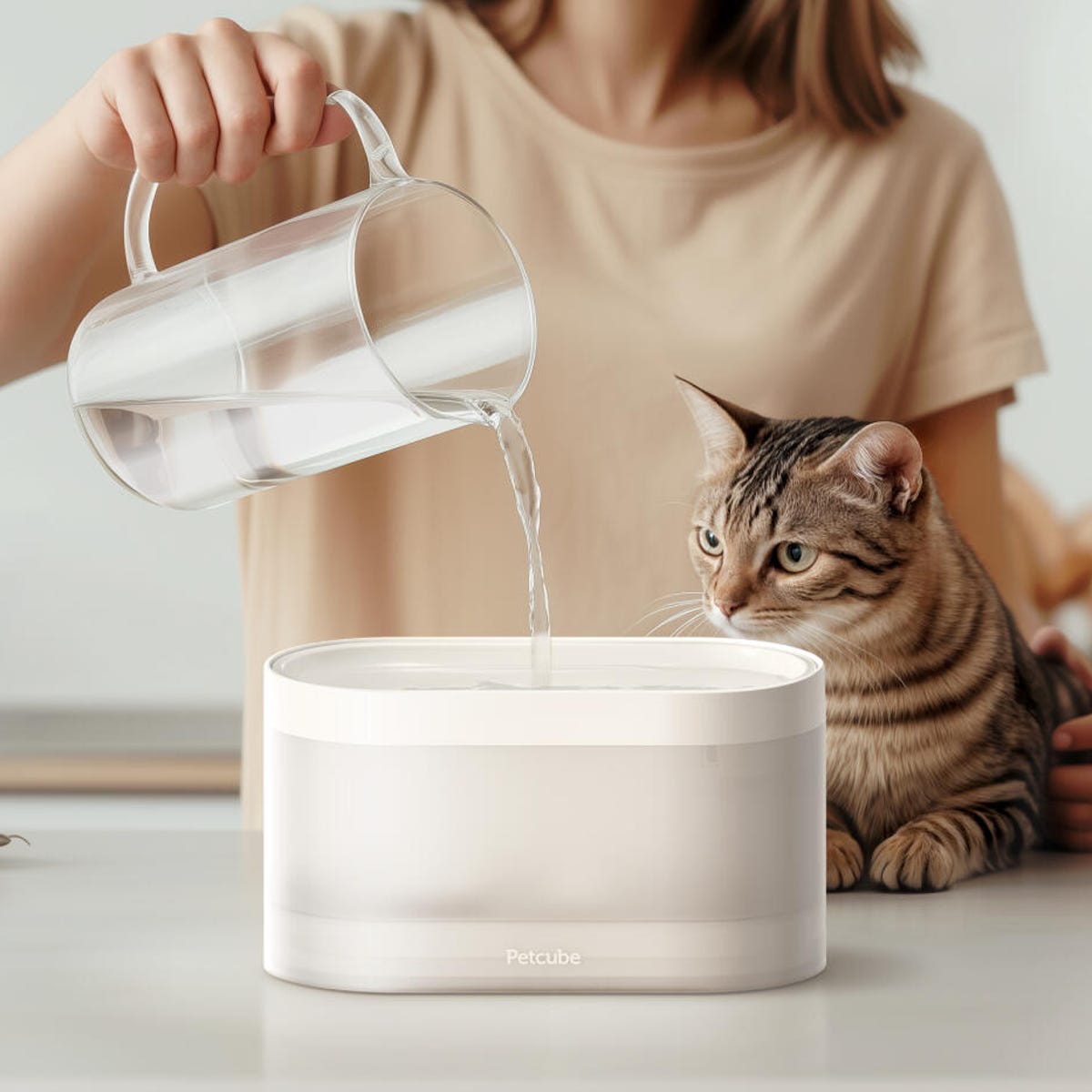 An application scenario or product detail of smart cat drinking fountain - Image 24
