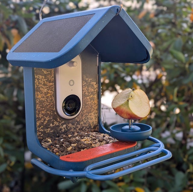 An application scenario or product detail of smart feeder - Image 18