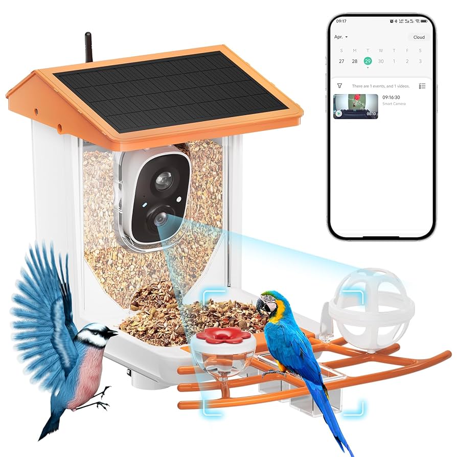 Featured image for the smart feeder with camera guide