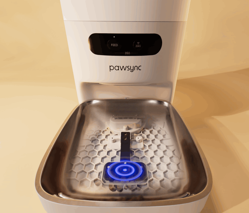 An application scenario or product detail of smart pet feeder - Image 20