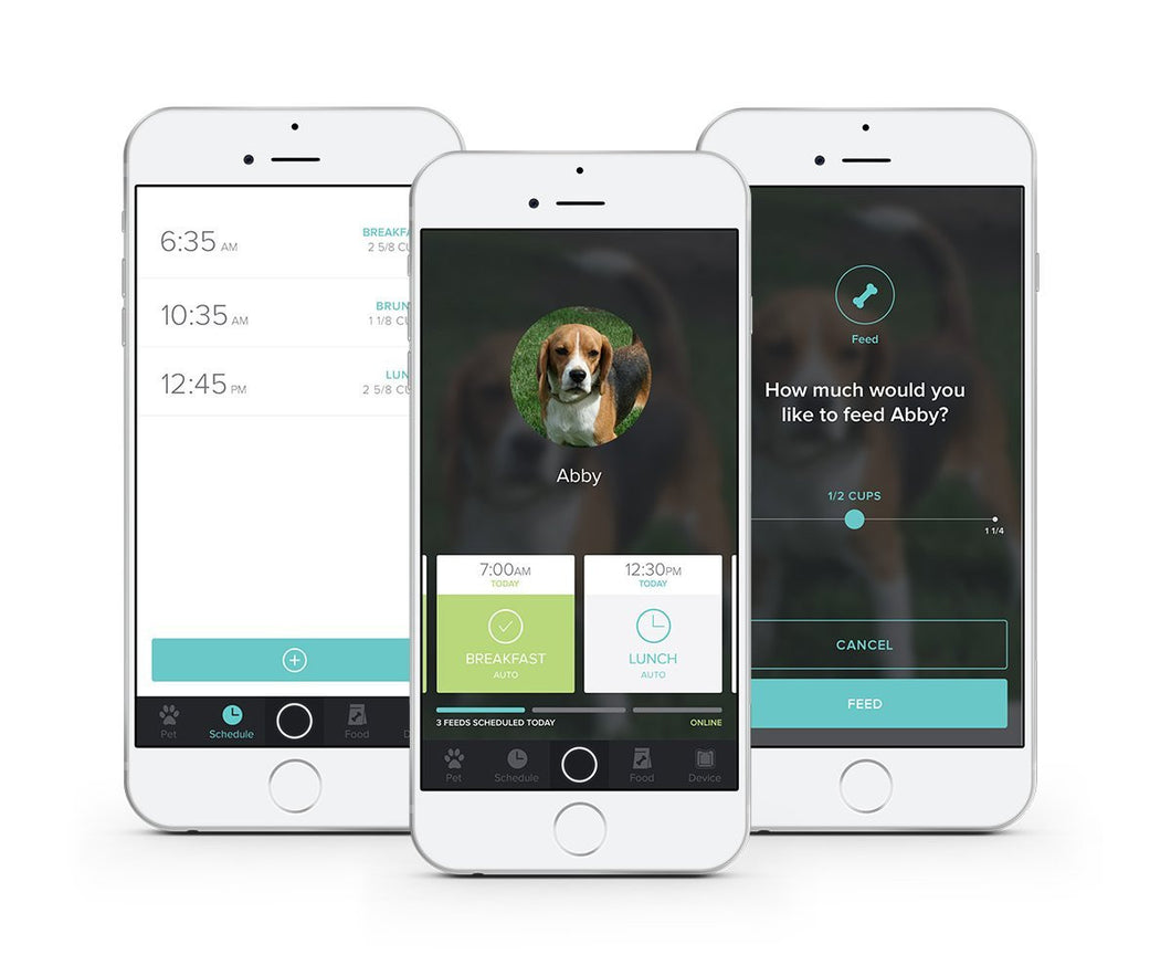 An application scenario or product detail of smart pet feeder app - Image 15