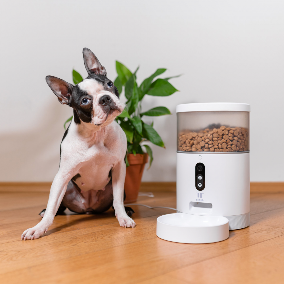 An application scenario or product detail of smart pet food - Image 11