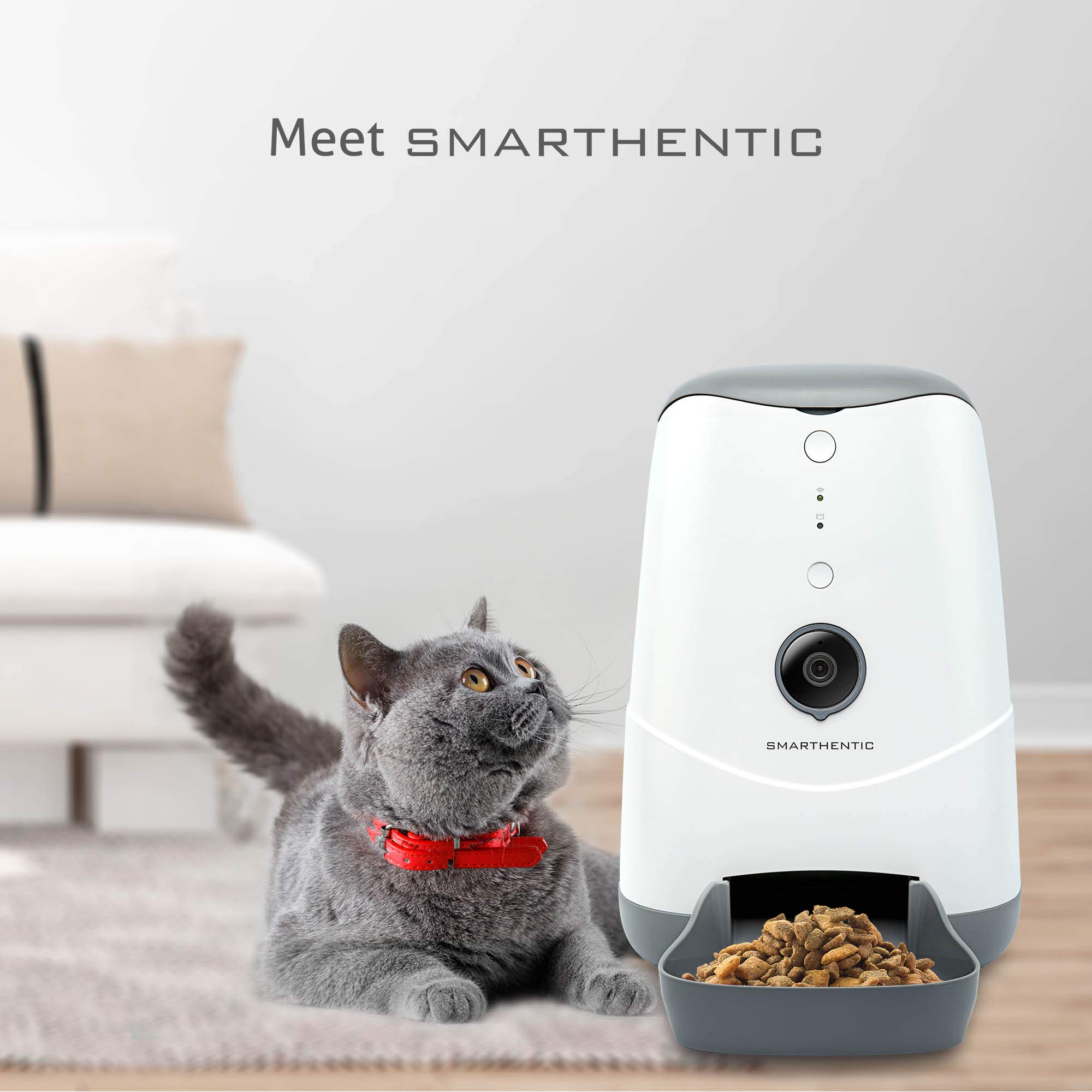 An application scenario or product detail of smart pet food - Image 15