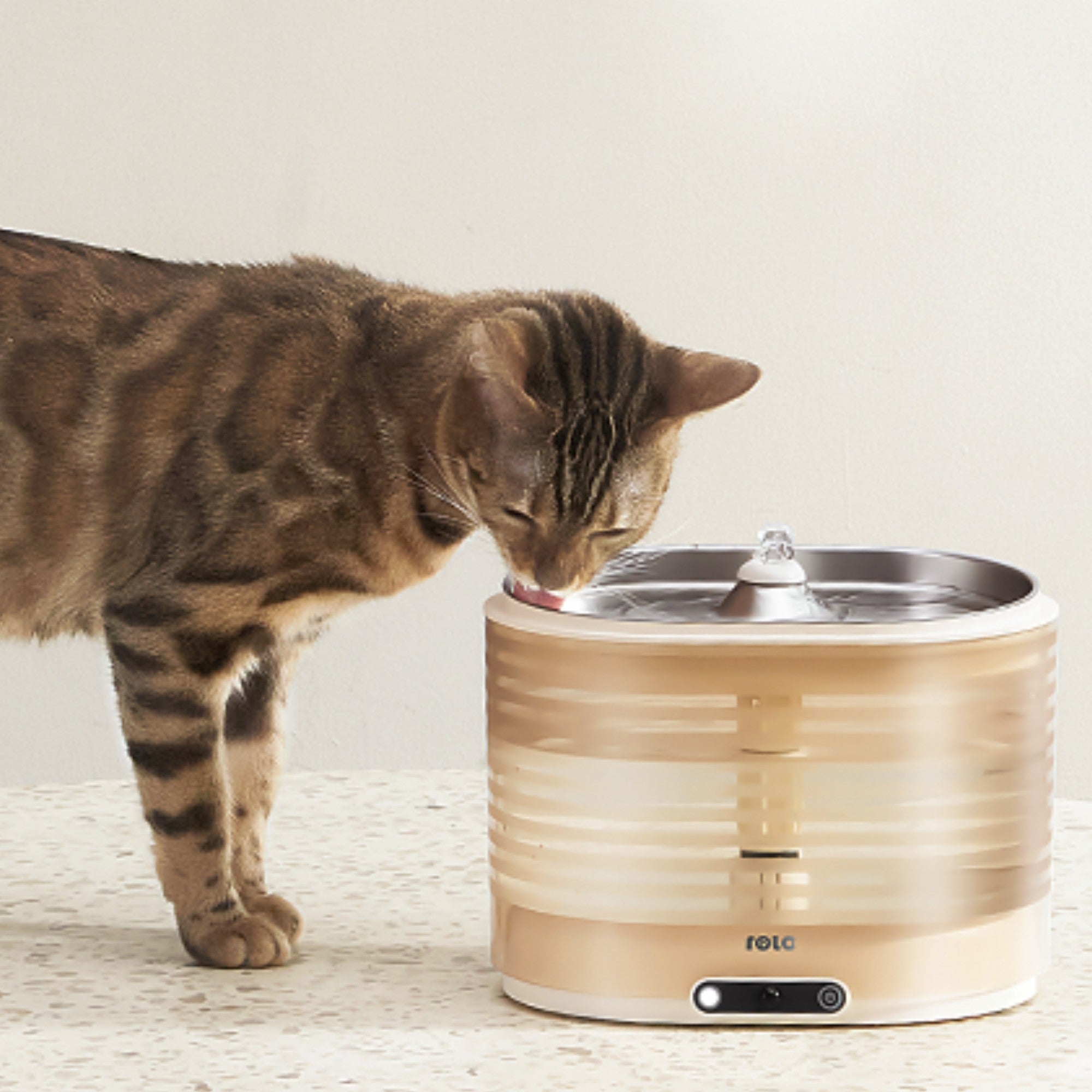 An application scenario or product detail of smart pet water fountain - Image 3