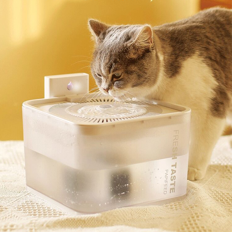 An application scenario or product detail of smart pet water fountain - Image 17