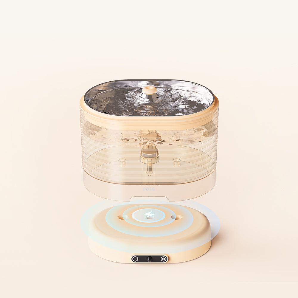 An application scenario or product detail of smart pet water fountain - Image 22