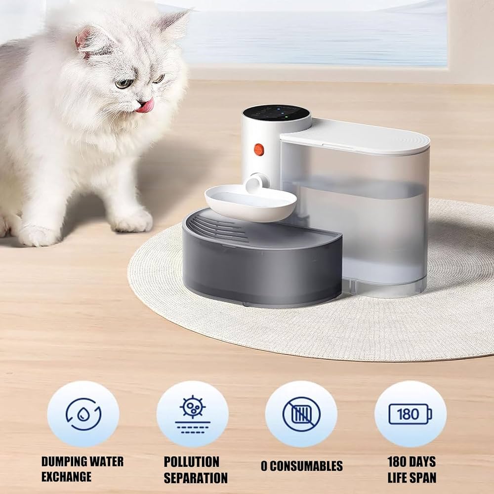 Featured image for the smart pet water fountain guide