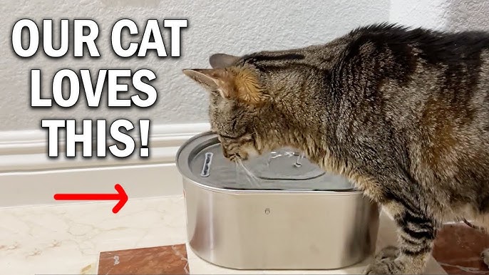 An application scenario or product detail of soofpet cat water fountain - Image 21