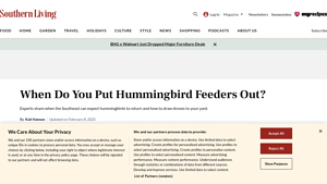 Southern Living - Hummingbird Feeders Guide