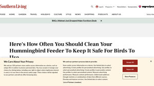 Southern Living - Hummingbird Feeder Maintenance
