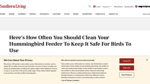 Southern Living - Hummingbird Feeder Care