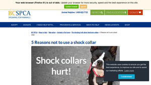 SPCA - Positive Training Advocacy