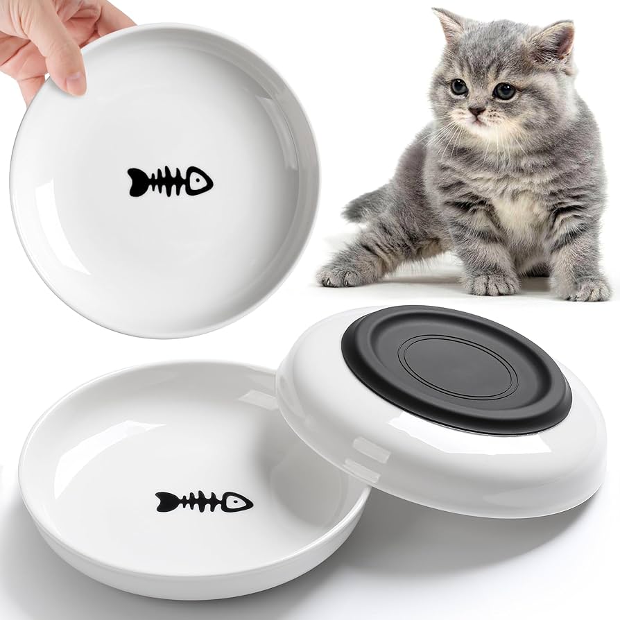 An application scenario or product detail of spill proof bowl for cats - Image 3