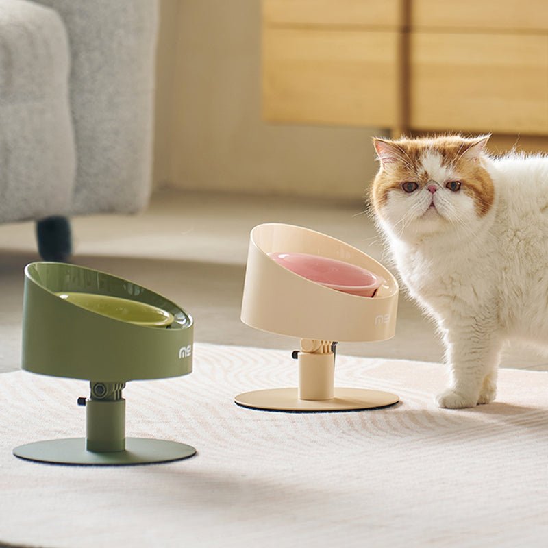 An application scenario or product detail of spill proof bowl for cats - Image 15