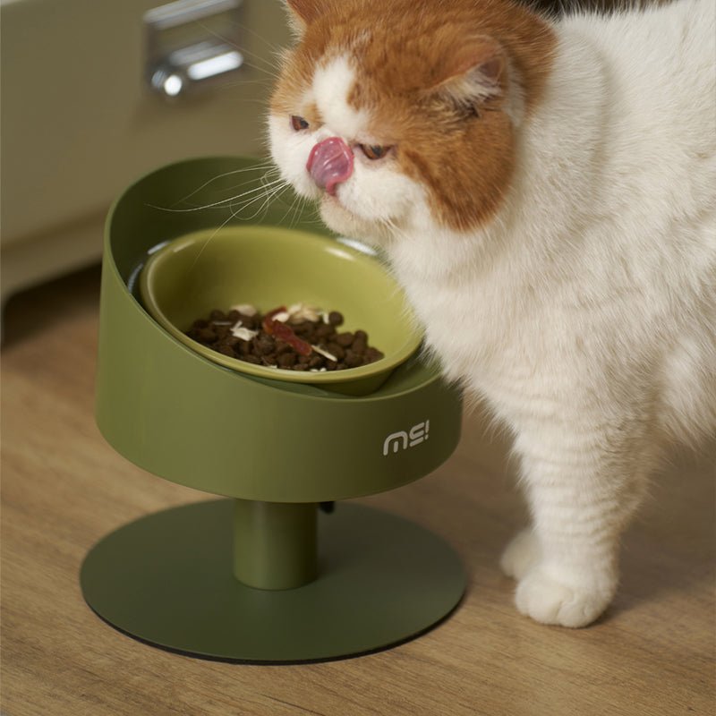 An application scenario or product detail of spill proof bowl for cats - Image 18
