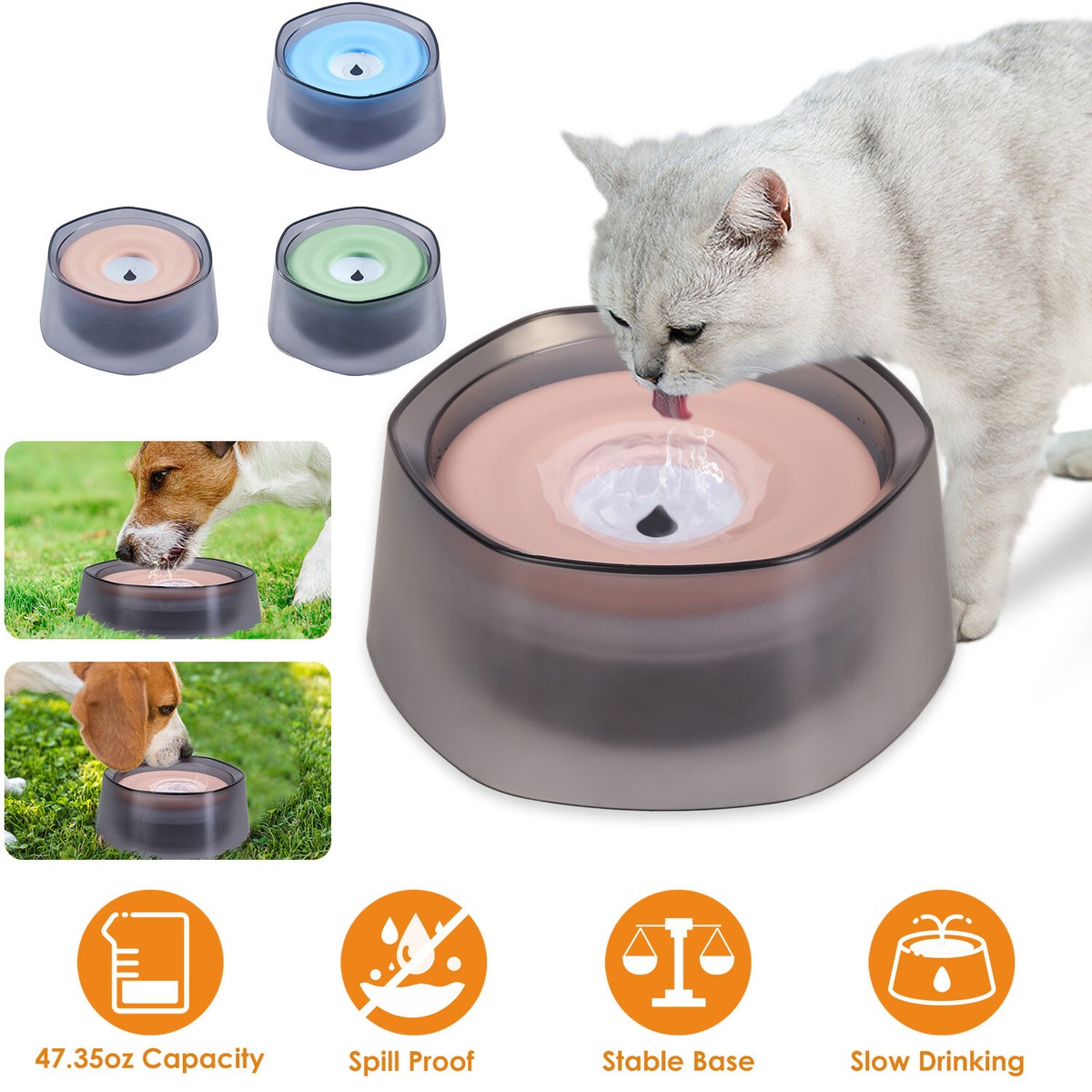 An application scenario or product detail of spill proof bowl for cats - Image 19