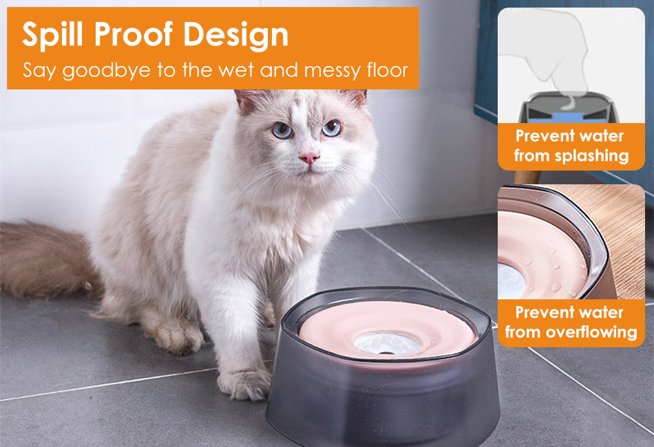 Featured image for the spill proof bowl for cats guide