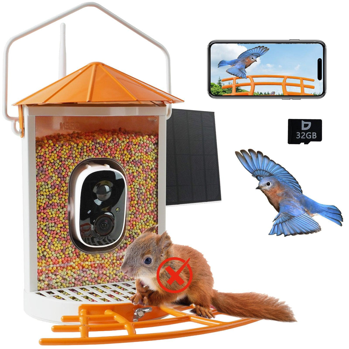 An application scenario or product detail of squirrel proof bird feeder with camera - Image 2