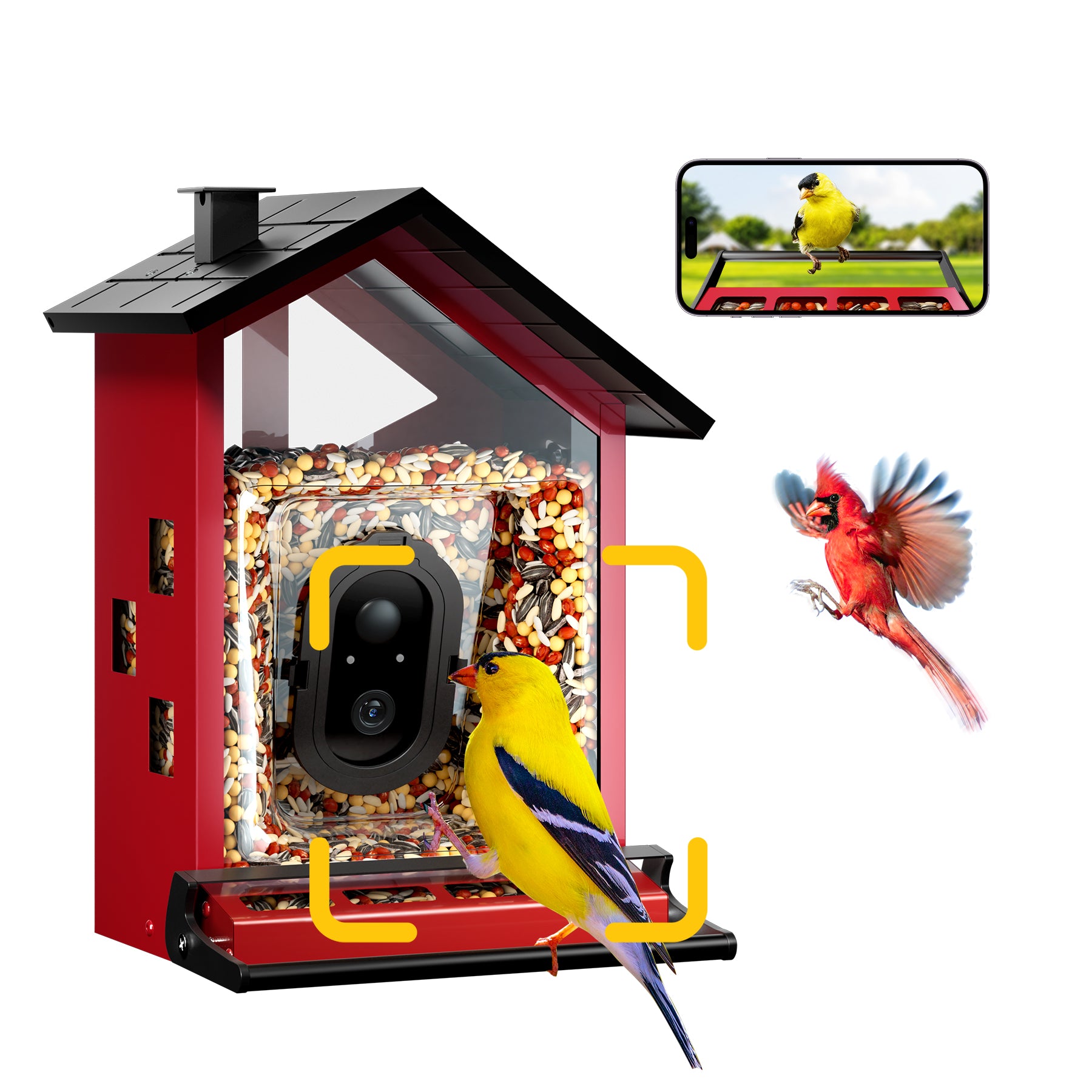 An application scenario or product detail of squirrel proof bird feeder with camera - Image 5
