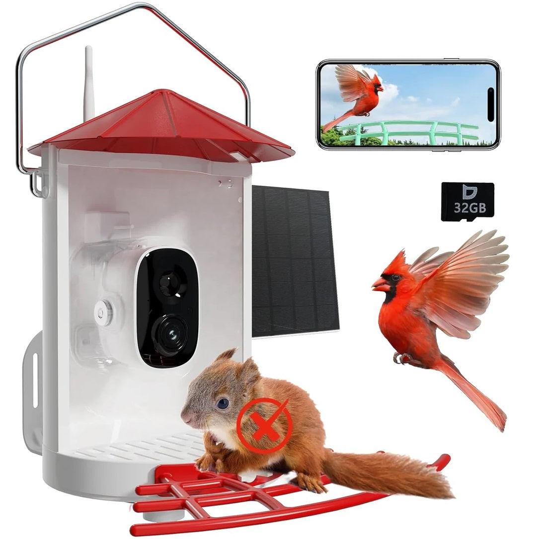 An application scenario or product detail of squirrel proof bird feeder with camera - Image 6