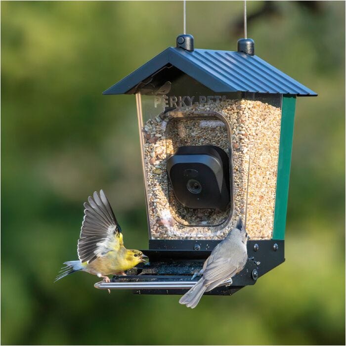 An application scenario or product detail of squirrel proof bird feeder with camera - Image 7