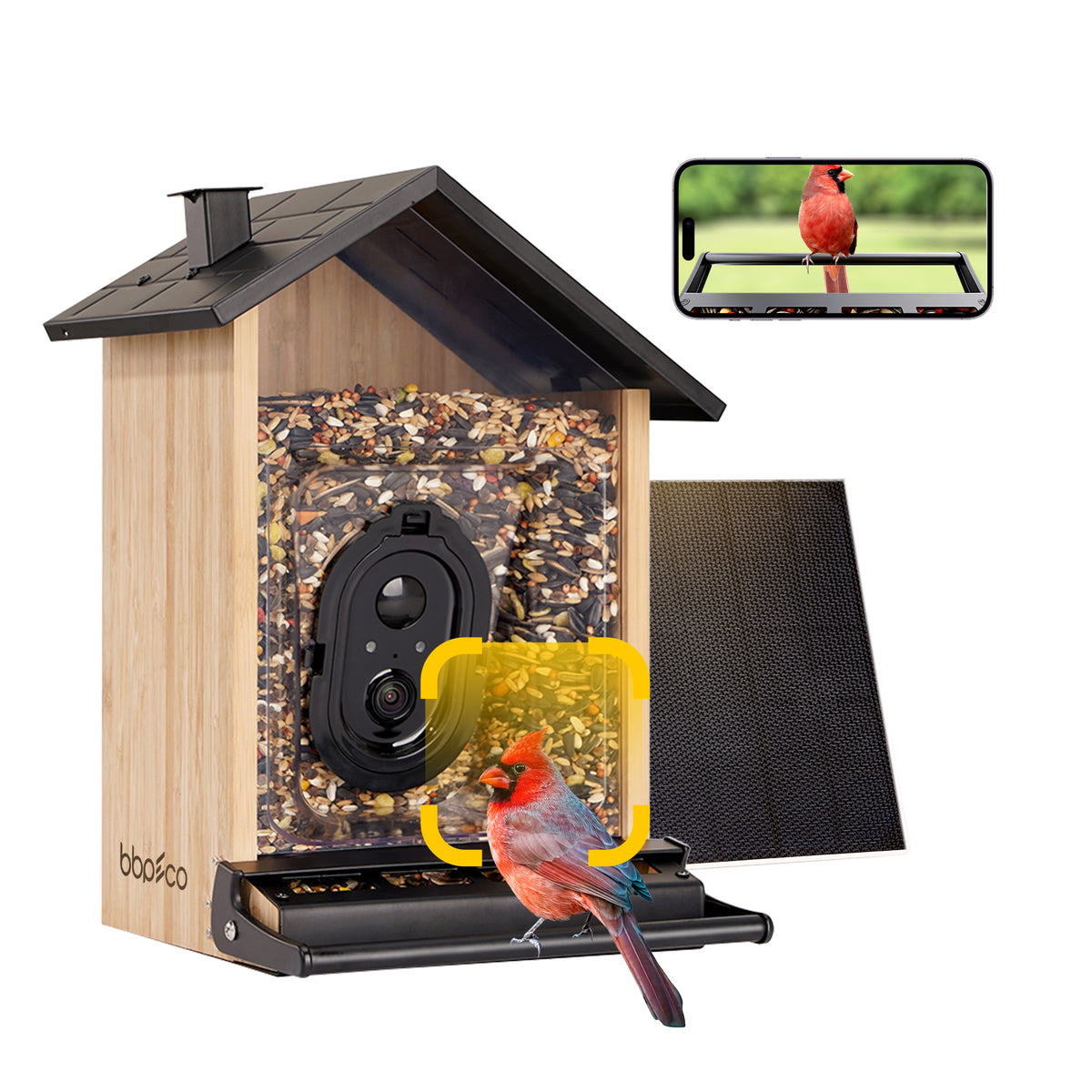 An application scenario or product detail of squirrel proof bird feeder with camera - Image 9