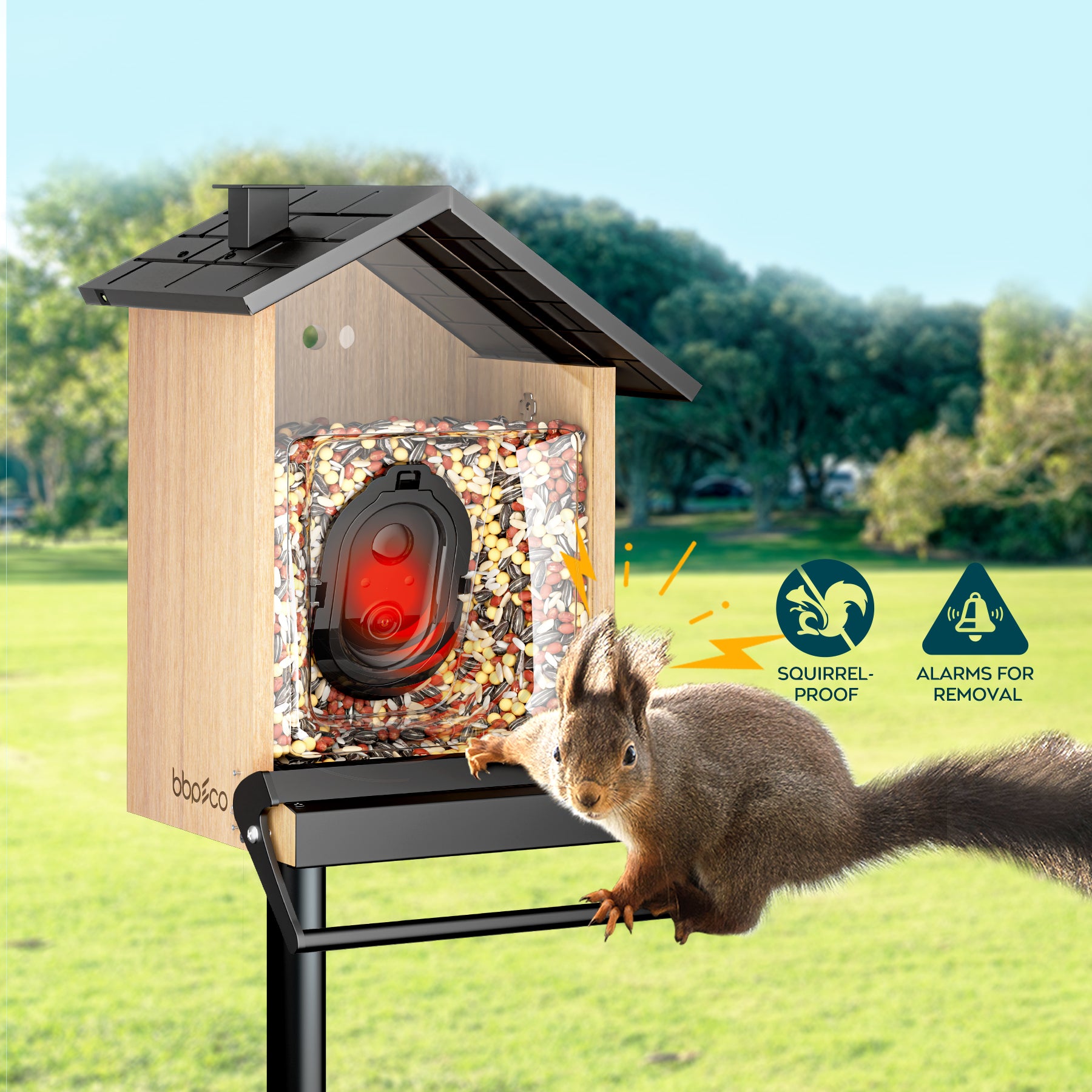 An application scenario or product detail of squirrel proof bird feeder with camera - Image 11