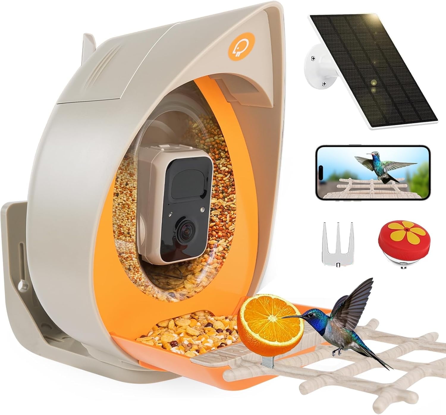 An application scenario or product detail of squirrel proof bird feeder with camera - Image 13