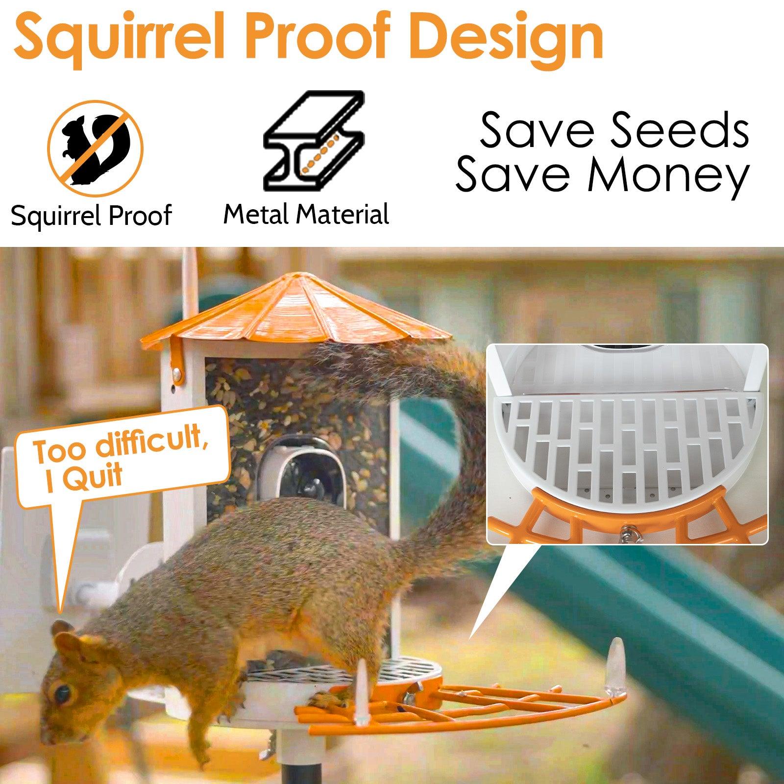 An application scenario or product detail of squirrel proof bird feeder with camera - Image 15