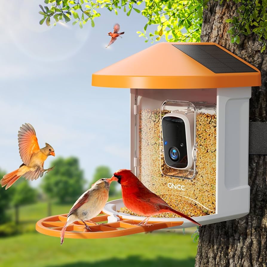 An application scenario or product detail of squirrel proof bird feeder with camera - Image 17