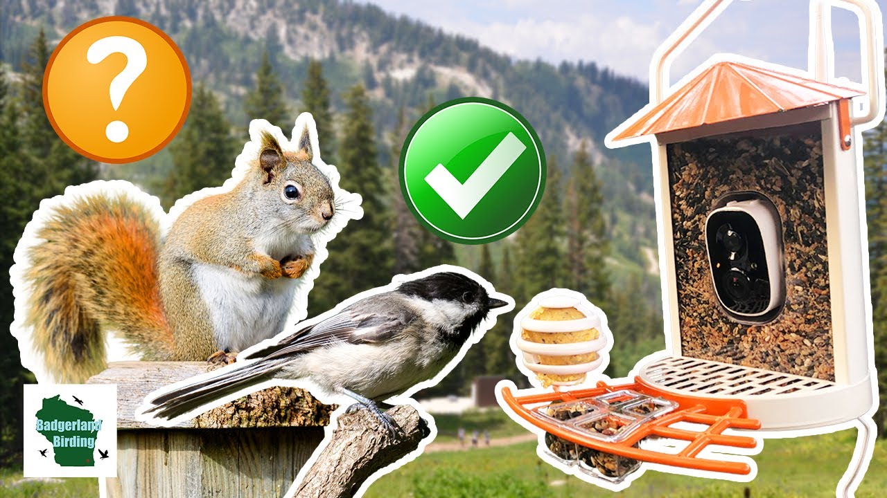 An application scenario or product detail of squirrel proof bird feeder with camera - Image 19