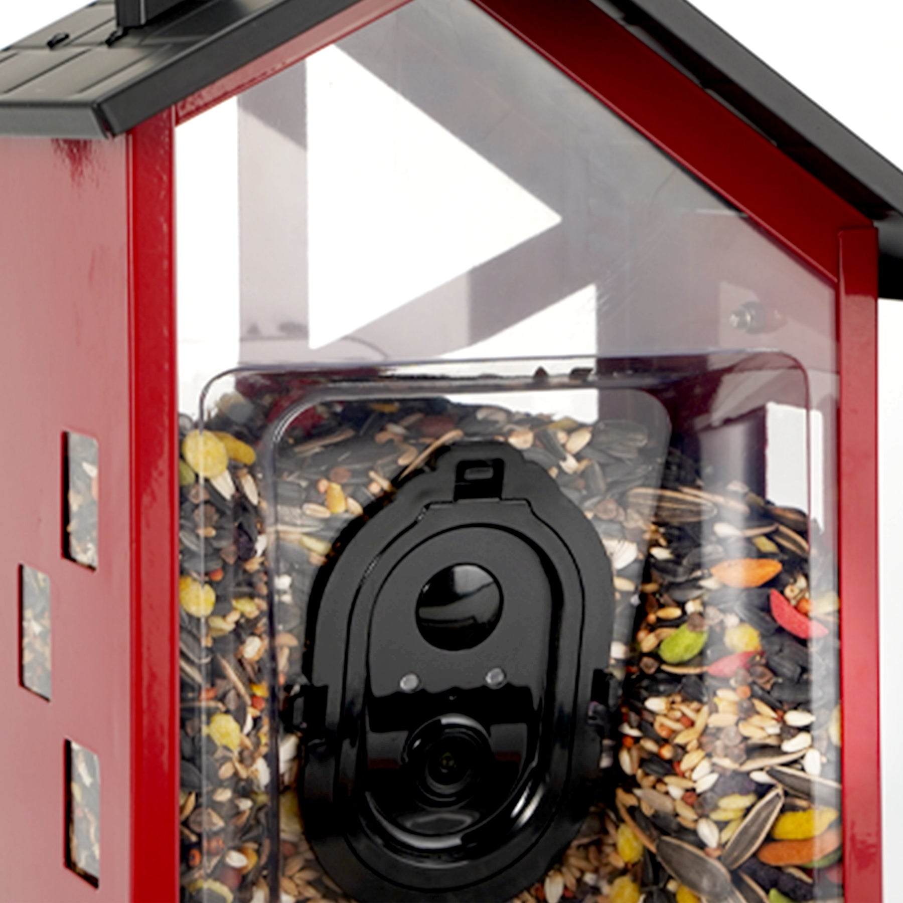 An application scenario or product detail of squirrel proof bird feeder with camera - Image 23