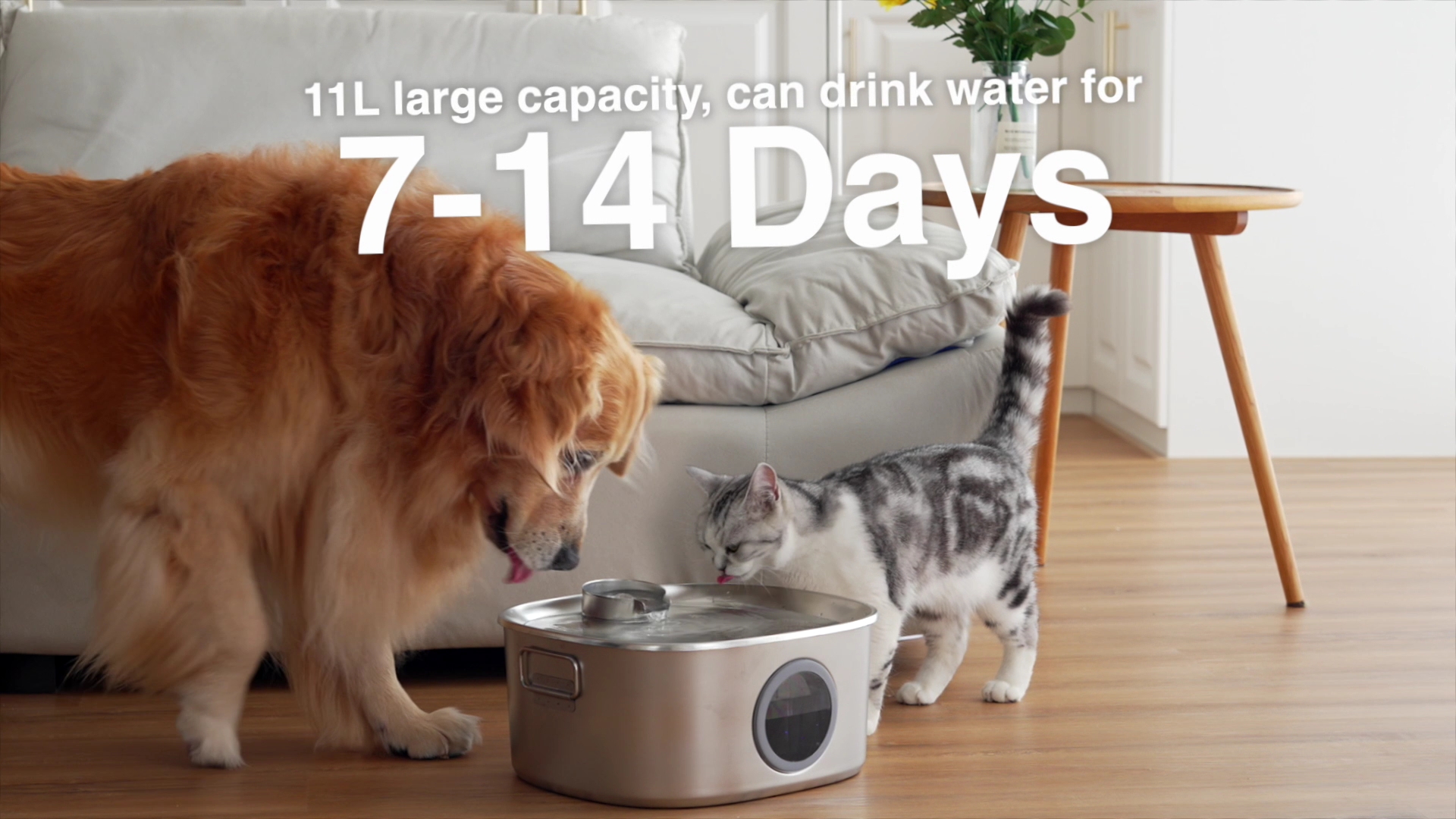 An application scenario or product detail of stainless dog water fountain - Image 11