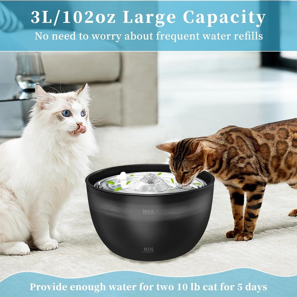 An application scenario or product detail of stainless steel cat water dish - Image 16