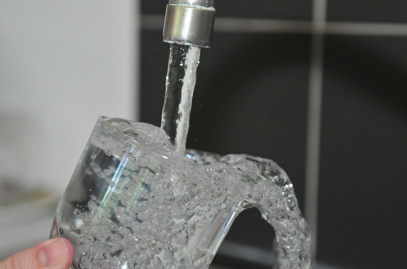 An application scenario or product detail of tap water for dogs - Image 11