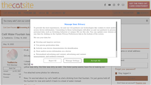 CatIt - Water Fountain Maintenance and Concerns