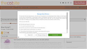 The Cat Site - Blow Drying Cats