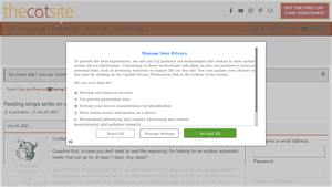 The Cat Site - 7-Day Outdoor Automatic Feeder