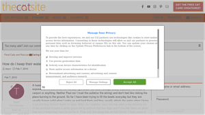 The Cat Site - Heated Water Solutions