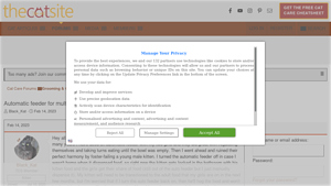 The Cat Site - Automatic Feeders for Multiple Cats