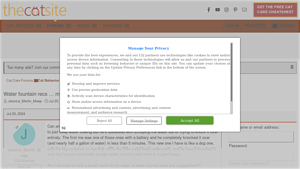 The Cat Site - Top Cat Water Fountains