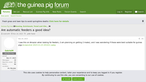 The Guinea Pig Forum - Automatic Feeders