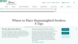 The Spruce - Hummingbird Feeder Placement Tips
