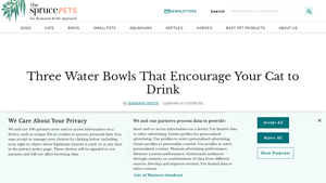 The Spruce Pets - Essential Water Bowls