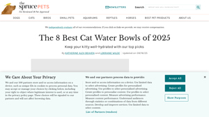 Americat - Stainless Steel Cat Bowl